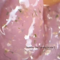 nr-1-172-2-600x600.webp