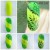 Neonowy-wzorki-step-by-step-z-hybryda-fluo-1.jpg