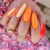 fluo-1,3,4,-lollipop-1,2,5.jpg