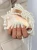 Ocean_Odyssey_P_04.webp