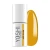 31701.webp