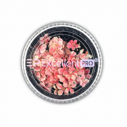 Excellent PRO Dry Flowers 001.jpg