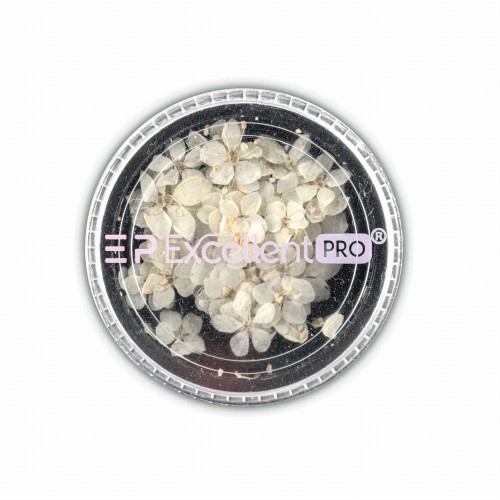 Excellent PRO Dry Flowers 004.jpg