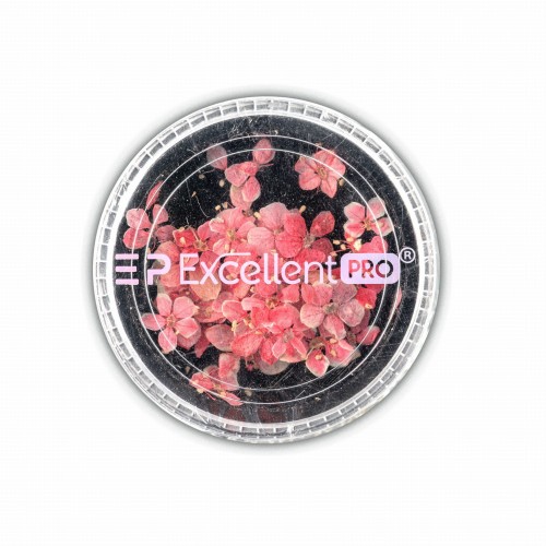 Excellent PRO Dry Flowers 008.jpg