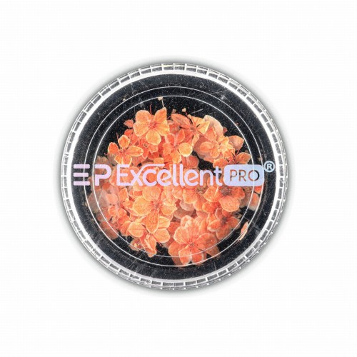 Excellent PRO Dry Flowers 010.jpg