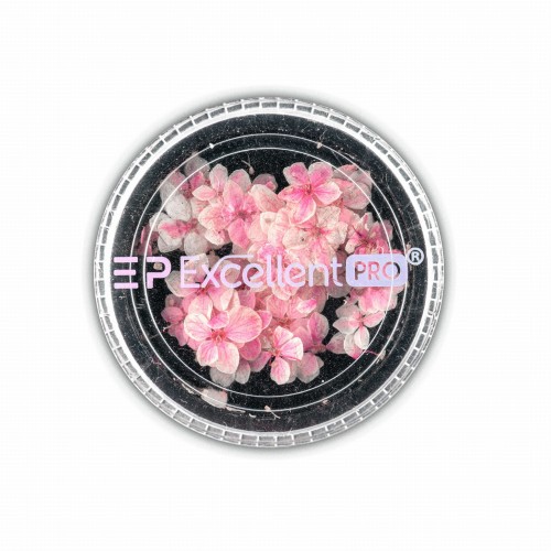 Excellent PRO Dry Flowers 011.jpg