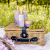 sunny grape 4_2000x2000 (1).png
