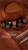 _story brown 2.png