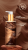 spice soap story.png